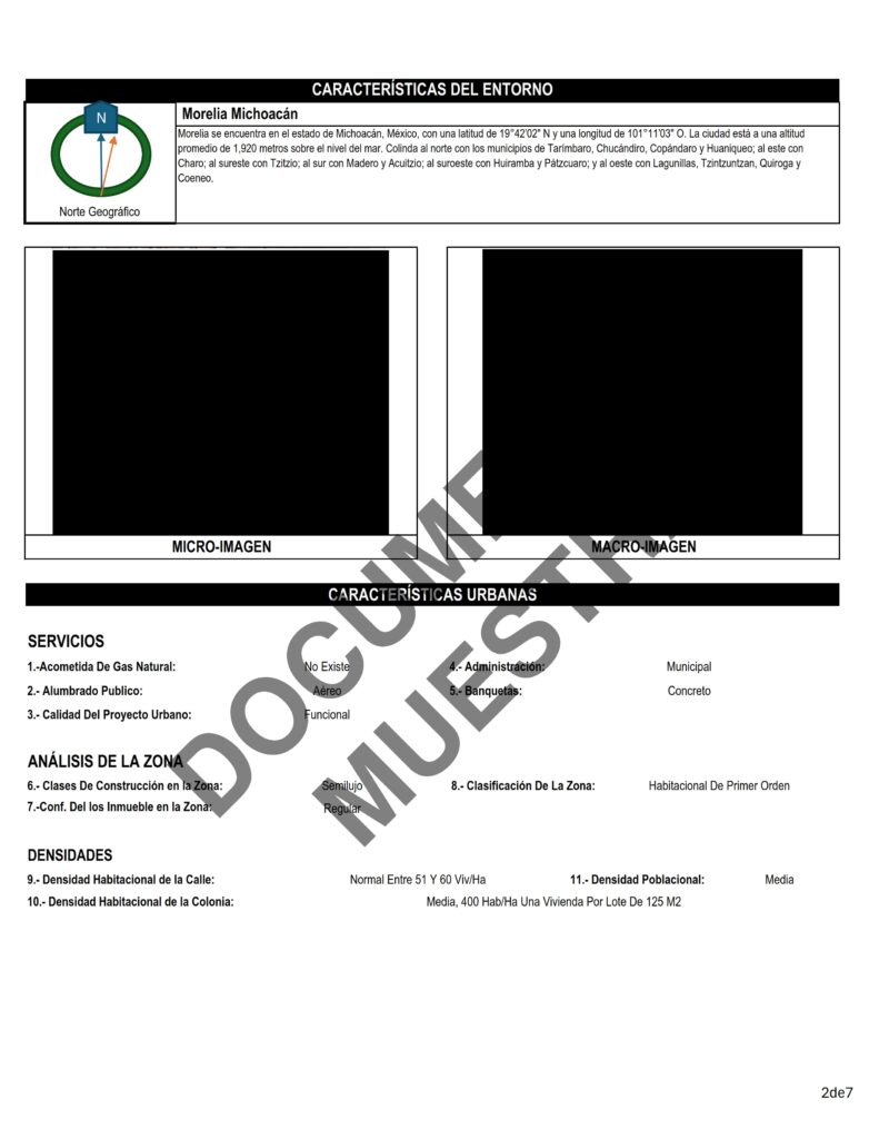 Formato Avalúo Judicial de Michoacán 2