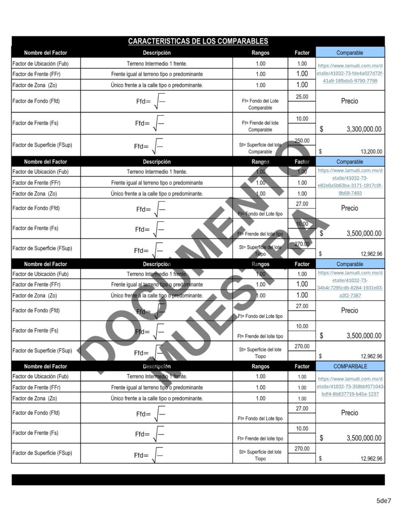 Formato Avalúo Judicial de Michoacán 5
